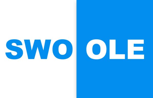 图片[1]-Swoole：PHP 协程框架swoole_loader72.so下载