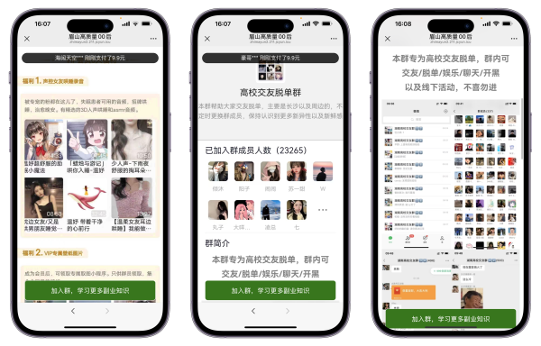 图片[3]-至码科技进群系统8.0，解决域名问题-站长价格。源码私聊-至码云创